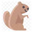 Marmota  Ícone