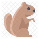 Marmota  Ícone
