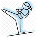Martial Arts Color Shadow Thinline Icon Icon