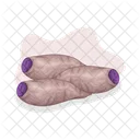 Taro Coliflor Patata Icon