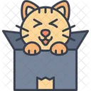 Mascota Caja Gatito Icono