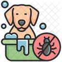 Mascota  Icon