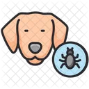 Mascota  Icon