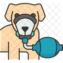 Mascota Perro Respiracion Icon