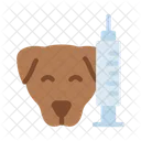 Pet Inyeccion Vacuna Icono