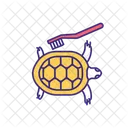 Tratamiento casero de tortugas mascotas  Icono