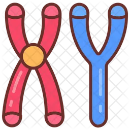 Masculine chromosomes  Icon