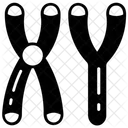 Masculine Chromosomes Sry Gene Male Sry Icon