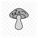 Mashroom  Icon