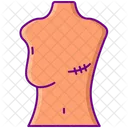 Mastectomy Breast Removal Breast Icon