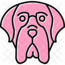 Mastin Ingles Perro Retrato Icon