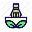 Matcha  Icon