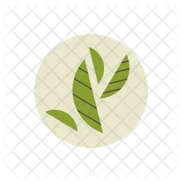 Matcha Leaf  Icon