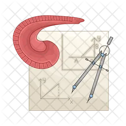 Math geometry  Icon