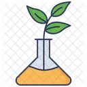 Matraz de planta  Icono