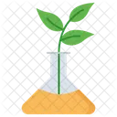 Matraz de planta  Icono