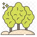 Mature Forest Forest Tree Icon
