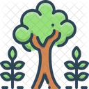 Maturity Tree Plant Icon