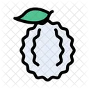 Maulbeere Obst Essen Symbol