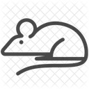 Maus Experiment An Ratte Genetischer Test Symbol