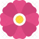 Spring Mauve Seasonal Icon