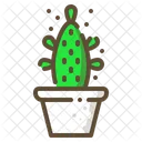 Maverick Cactus Succulent Icon
