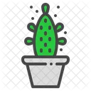 Maverick Cactus Succulent Icon