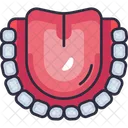 Maxilar inferior  Icon