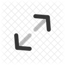 Maximize Icône
