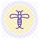 Mayfly Insect Ephemeral Icon