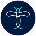 Mayfly Insect Ephemeral Icon