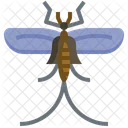 Mayfly Bug Fly Icon