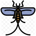 Mayfly Bug Fly Icon