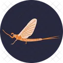 Mayfly Insect Bug Icon