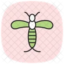 Mayfly Insect Ephemeral Icon