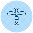 Mayfly Insect Ephemeral Icon