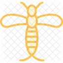 Mayfly Insect Ephemeral Icon