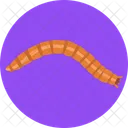 Mealworm Worm Bugs Icon