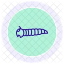 Mealworm Insect Beetle Icon