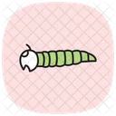 Mealworm Insect Beetle Icon