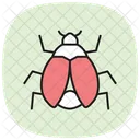 Mealybug Insect Pest Icon