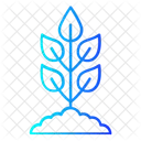 Plant Icon