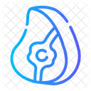 Meat Beef Steak Icon