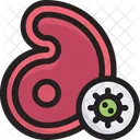 Virus Transmission Infection Icon