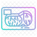 Meat Wrapping Meat Steak Icon