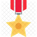 Medaglia Premio Militare Icon