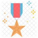 Medal Honor Rememberance Icon