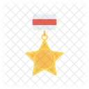 Medal Badge Award Icon