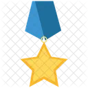 Medal Trophy Sport Icon