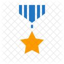 Medal  Icon